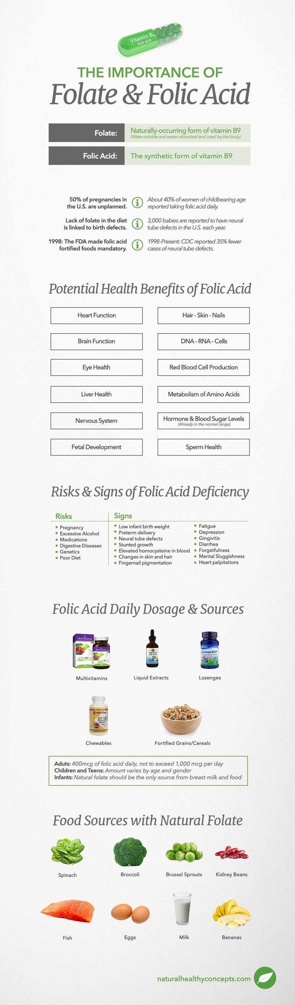 folic acid infographic